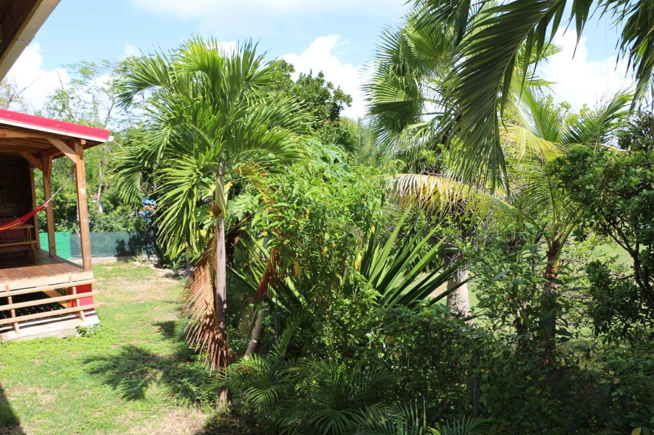 Villa Les Z’Alizés à Le Moule Extérieur photo