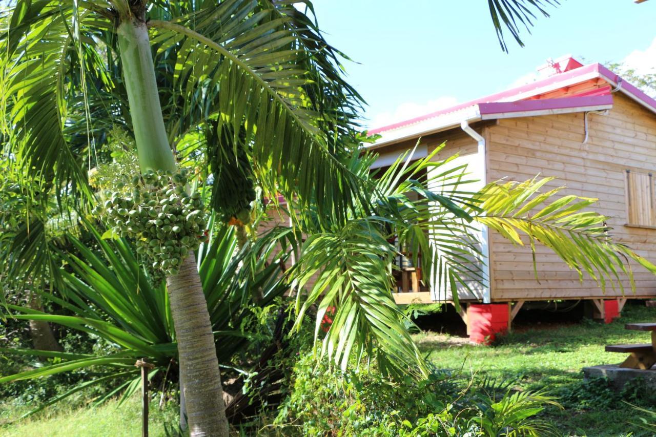 Villa Les Z’Alizés à Le Moule Extérieur photo