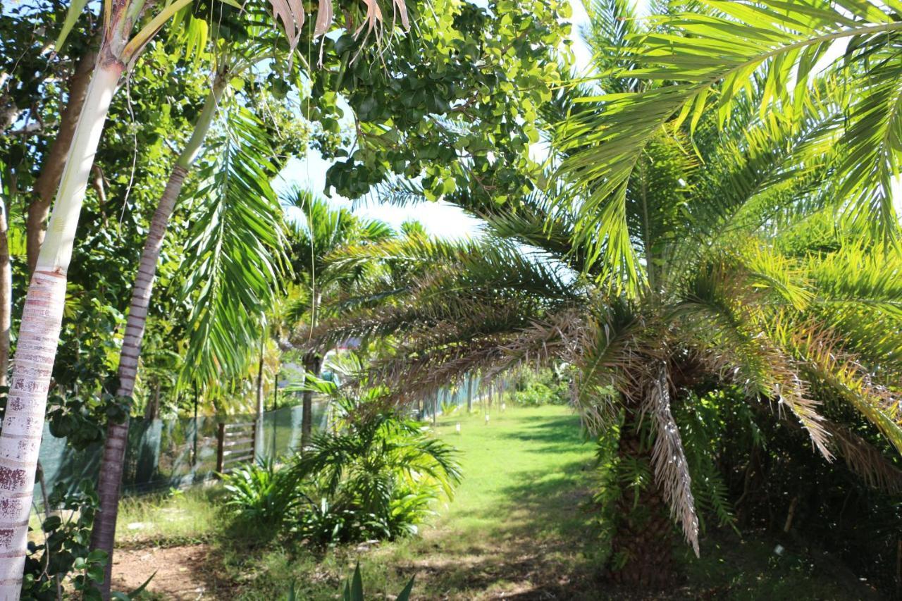 Villa Les Z’Alizés à Le Moule Extérieur photo